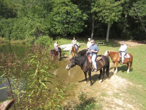Lake + Horses + Guests
