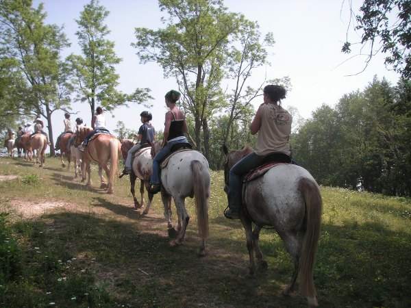 Into Open MtTop Meadow from Pines