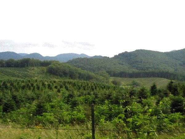 Mt Top Views To Whiteside Mt