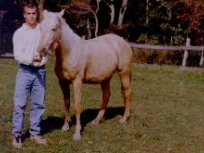 Crescent got named for the "crescent" on her forhead.  She is great for children and young adults.